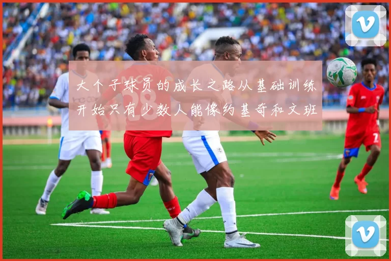 大个子球员的成长之路从基础训练开始只有少数人能像约基奇和文班那样成功